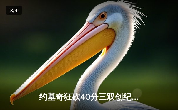 约基奇狂砍40分三双创纪录，掘金加时鏖战力克勇士迎六连胜 - 3