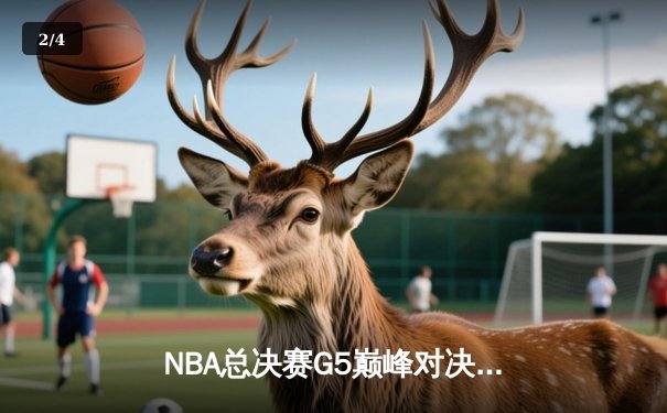 NBA总决赛G5巅峰对决：掘金加时险胜热火，约基奇砍下40+三双创历史 - 2